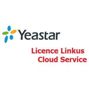 Licence Linkus Cloud Service S300